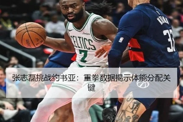 张志磊挑战约书亚：重拳数据揭示体能分配关键