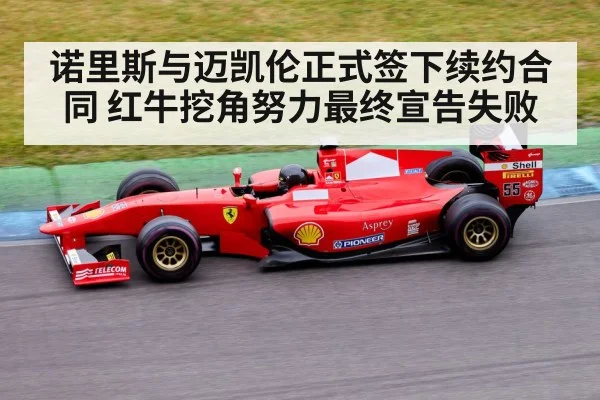 诺里斯与迈凯伦正式签下续约合同 红牛挖角努力最终宣告失败
