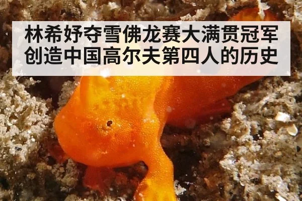 林希妤夺雪佛龙赛大满贯冠军创造中国高尔夫第四人的历史