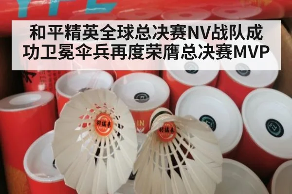 和平精英全球总决赛NV战队成功卫冕伞兵再度荣膺总决赛MVP